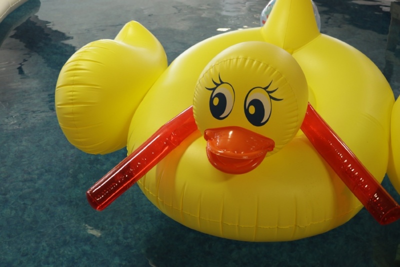 rubber duck float in water